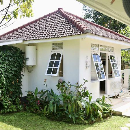 Pondok Plantation Luxury Mountain Escape Bedugul Bedugul  Exterior photo