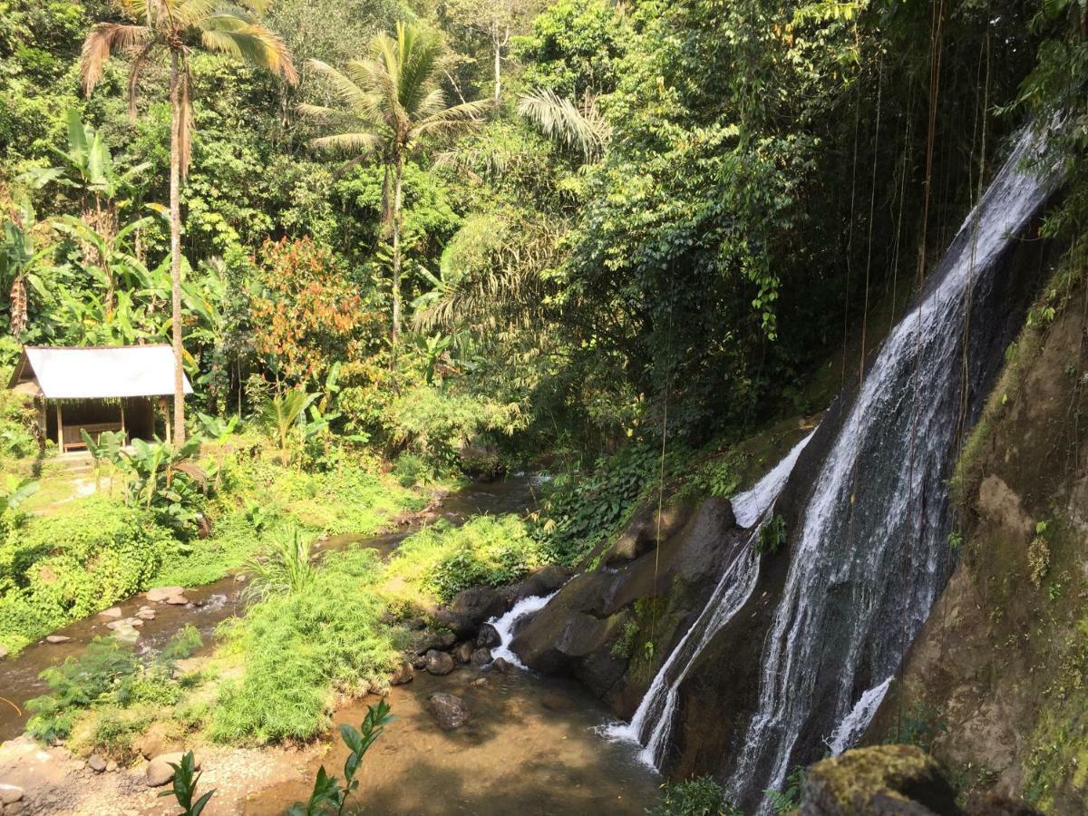 Pondok Plantation Luxury Mountain Escape Bedugul Bedugul  Exterior photo