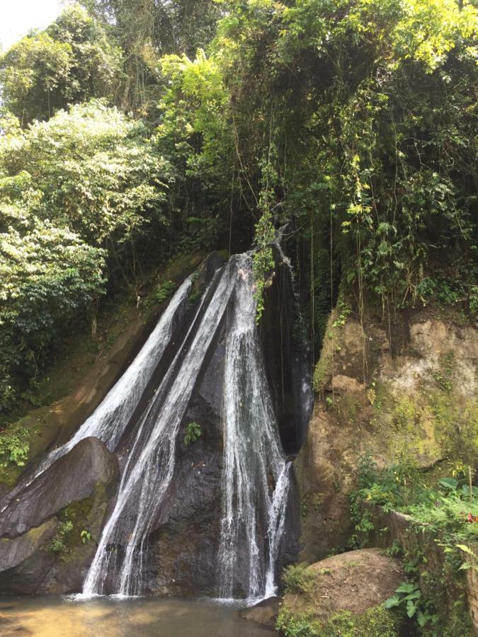 Pondok Plantation Luxury Mountain Escape Bedugul Bedugul  Exterior photo