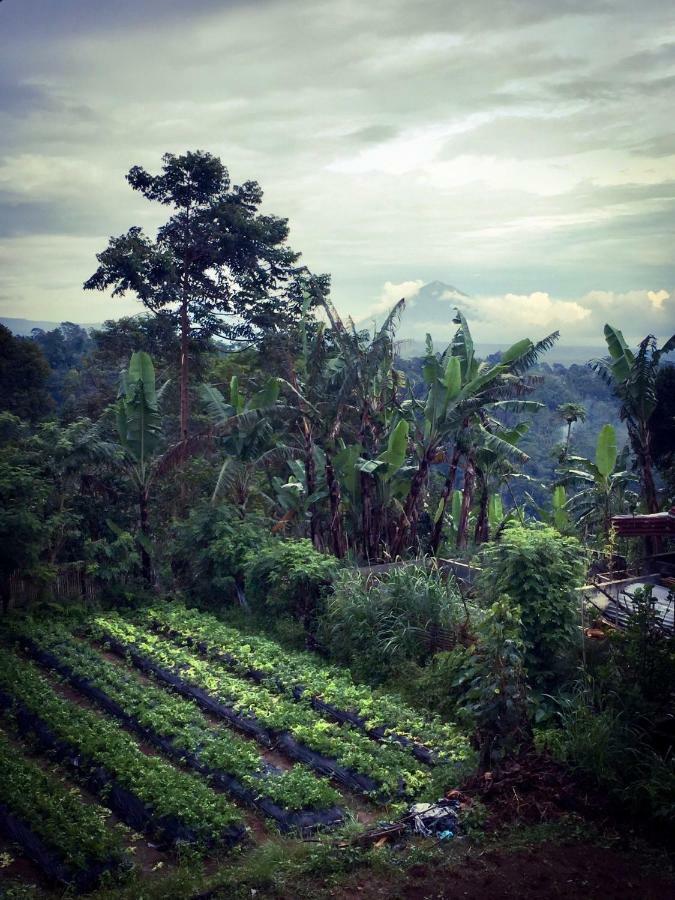 Pondok Plantation Luxury Mountain Escape Bedugul Bedugul  Exterior photo